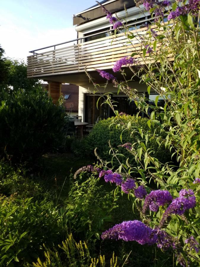 Wiedhoehen Ferienwohnung Roßbach Exterior foto
